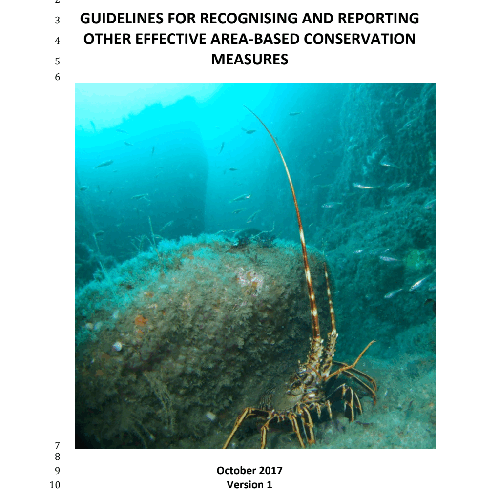 Guidelines for Recognising and Reporting Other Effective Area-based ...